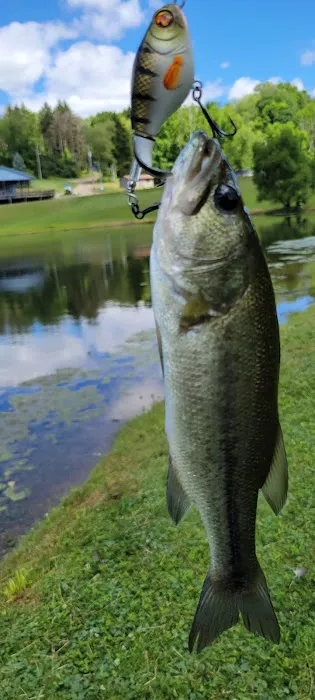 Terrace Lakes Campground 0