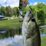 Terrace Lakes Campground