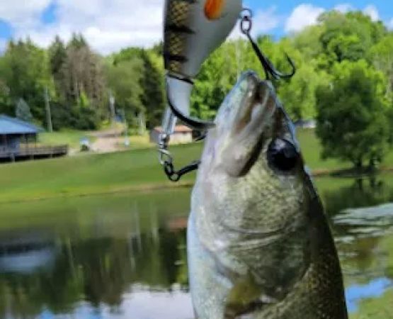 Terrace Lakes Campground