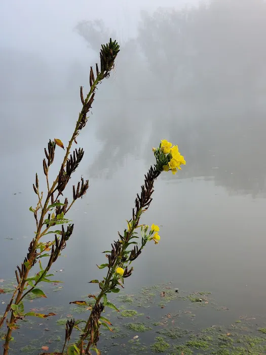 Terrace Lakes Campground 1