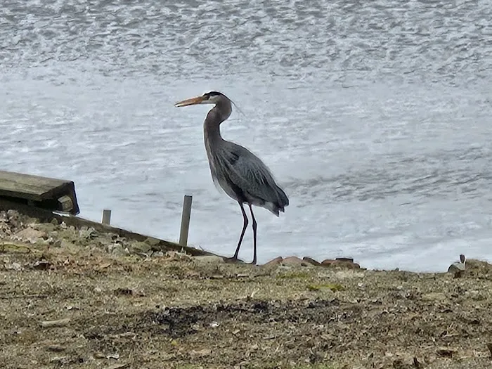 Lakeland Beach Park 1