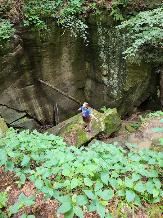 Mohican State Park - Backpack Campsite #10 9
