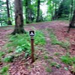 Mohican State Park - Backpack Campsite #10