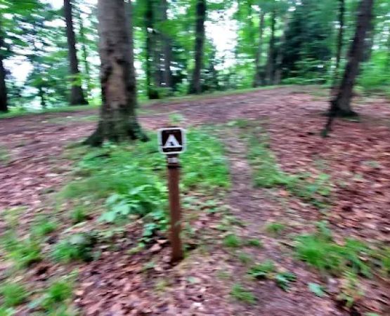 Mohican State Park - Backpack Campsite #10