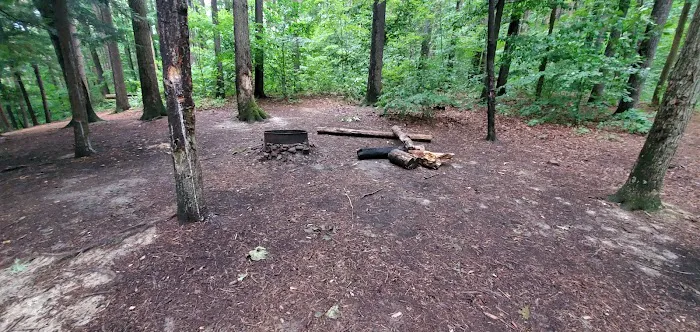 Mohican State Park - Backpack Campsite #10 5