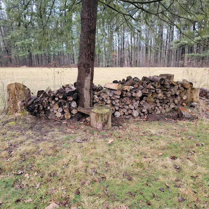BSA Camp Rodman 1