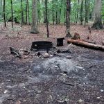 Mohican State Park - Backpack Campsite #9