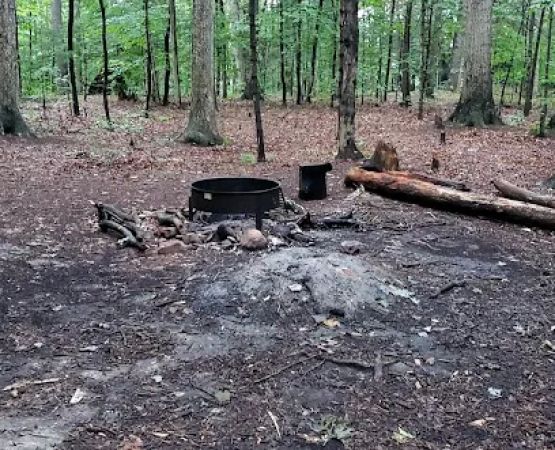 Mohican State Park - Backpack Campsite #9