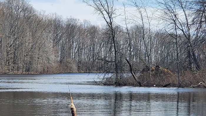 Pikie Bay 7