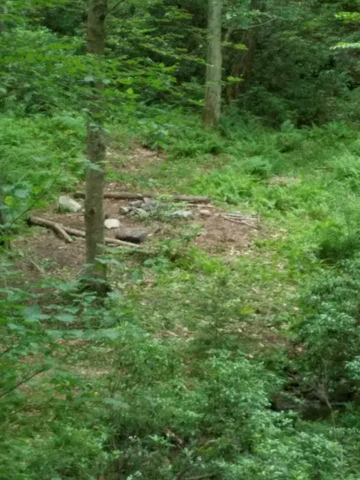 Jens Camp 2