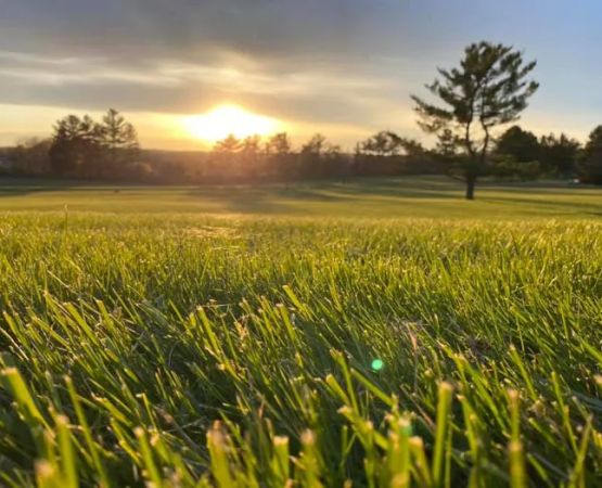 Highland Acres RV Resort