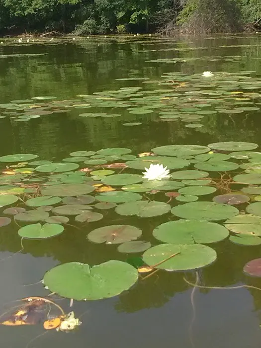 Clendening Lake Marina and Campground 2