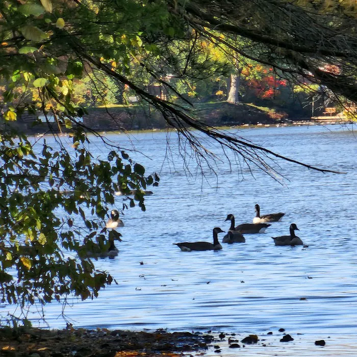 Westville Lake 9