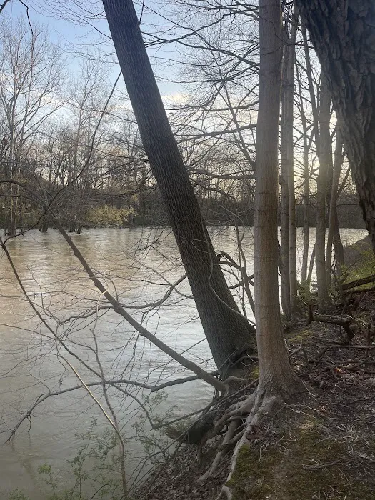Camp Tonawanda 8