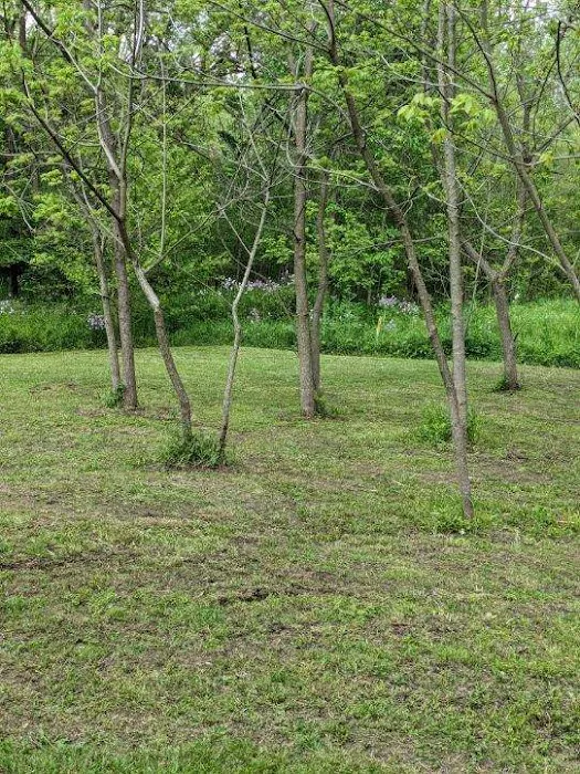 2 Bees Campground 8