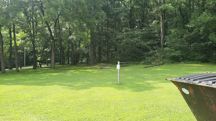 Mohican Group Camp 3