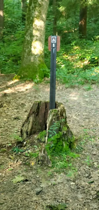 Mohican State Park - Back Pack Campsite #5 0