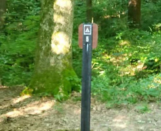 Mohican State Park - Back Pack Campsite #5