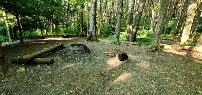 Mohican State Park - Back Pack Campsite #5 1