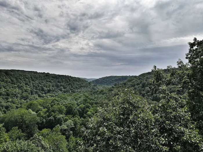 Mohican State Park - Campground B 4