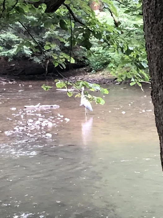 Mohican State Park - Campground B 5