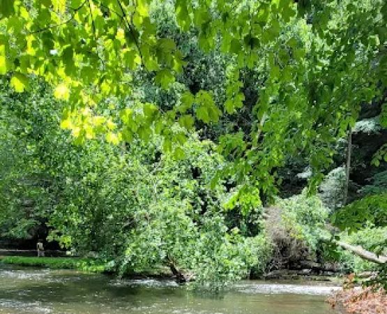 Mohican State Park - Campground B