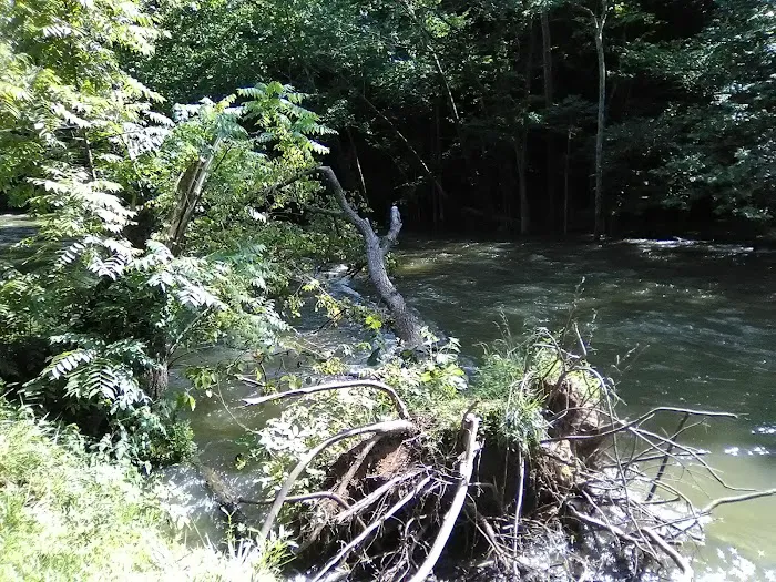 Mohican State Park - Campground B 9