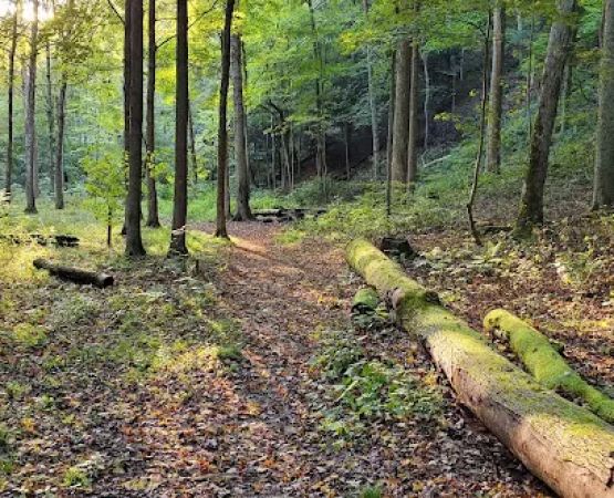 Mohican State Park - Backpack Campsite #2