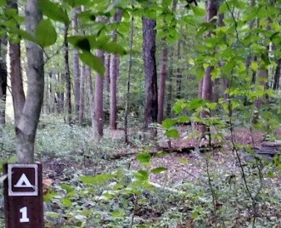Mohican State Park - Backpack Campsite #1