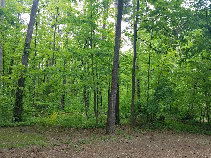 Findley Camp Check-In Station 4