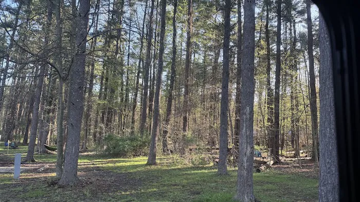 Findley State Park Campground 2