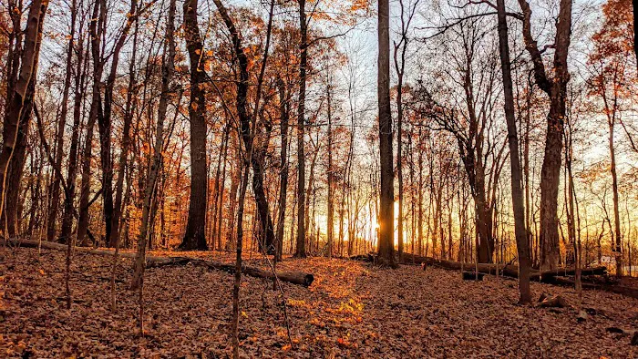 Malabar Farm State Park Campground 2