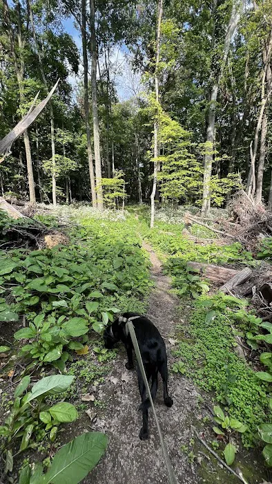 Malabar Farm State Park Campground 8