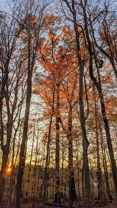 Malabar Farm State Park Campground 7