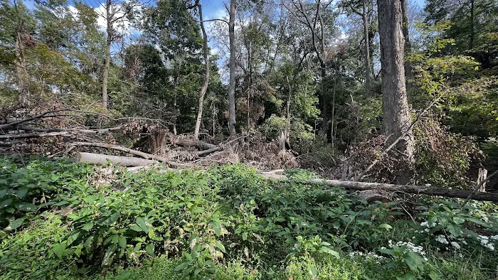 Malabar Farm State Park Campground 3