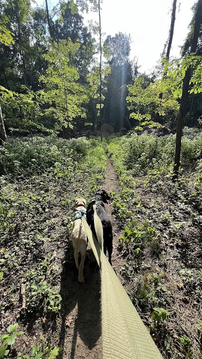 Malabar Farm State Park Campground 6