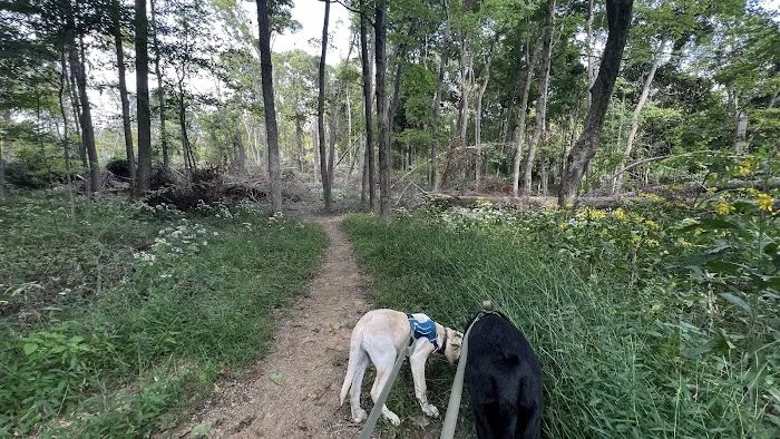 Malabar Farm State Park Campground 9