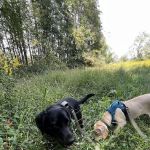 Malabar Farm State Park Campground