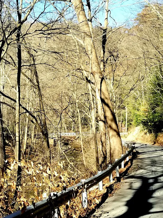 Tomlinson Run State Park 9