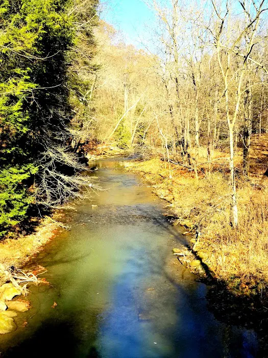 Tomlinson Run State Park 2