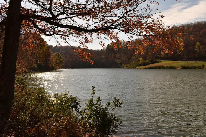 Tomlinson Run State Park 1