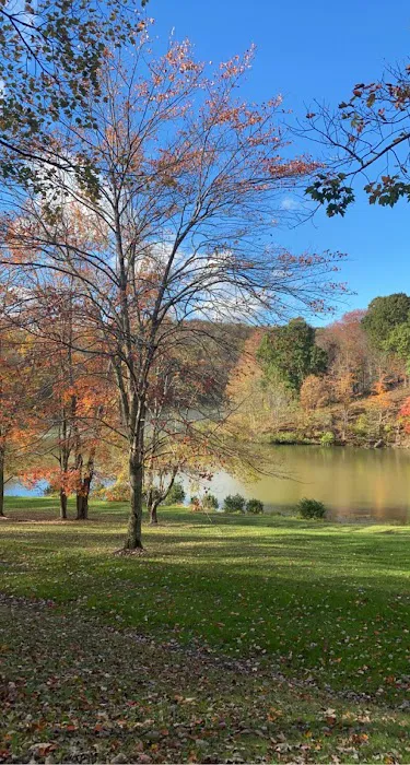 Tomlinson Run State Park 8