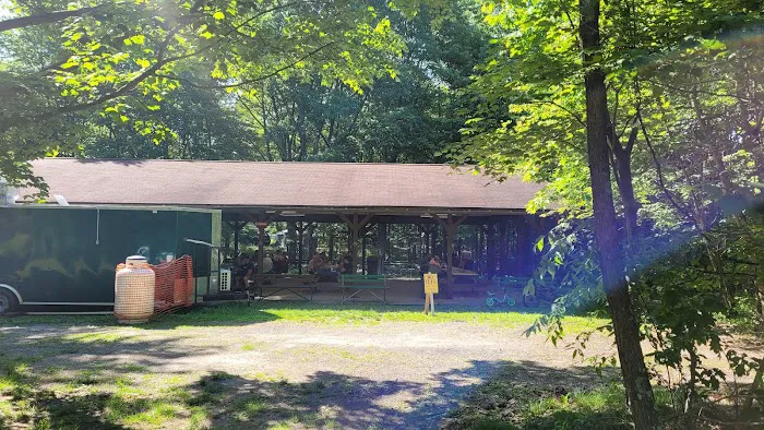 Tomlinson Run State Park Campground 4