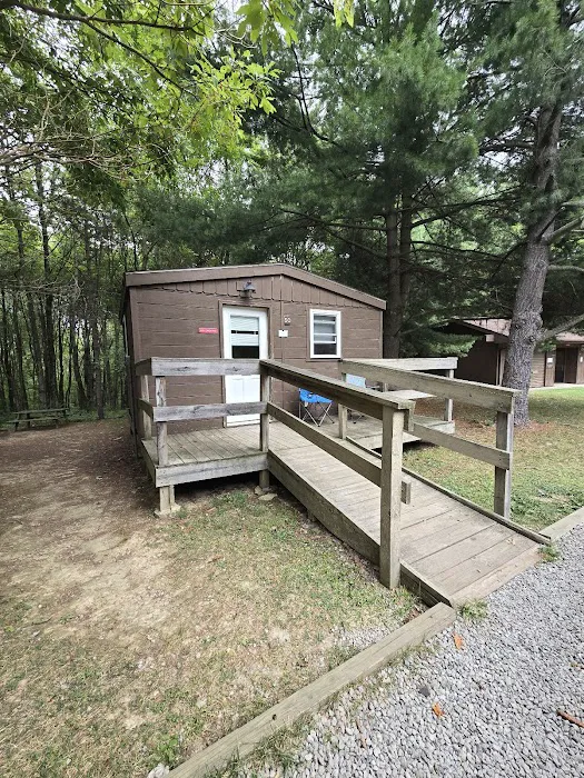 Tomlinson Run State Park Campground 8