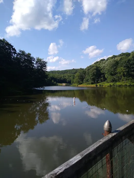 Tomlinson Run State Park Campground 3