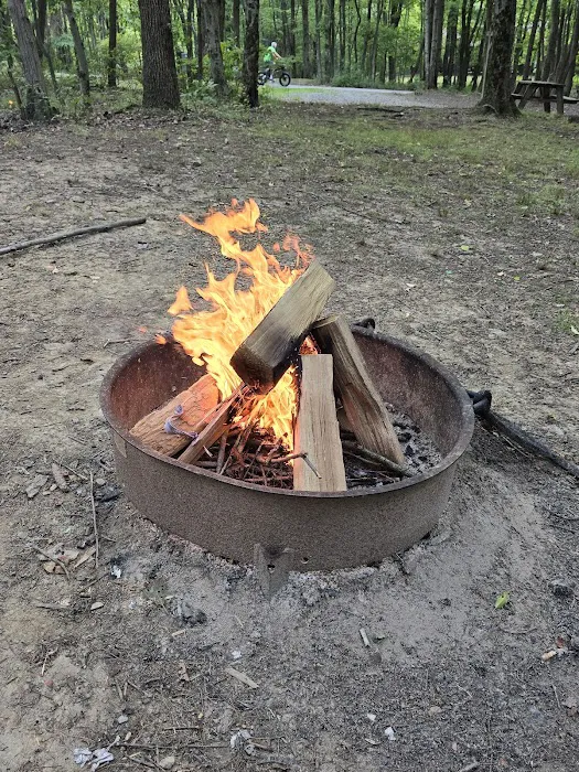 Tomlinson Run State Park Campground 5