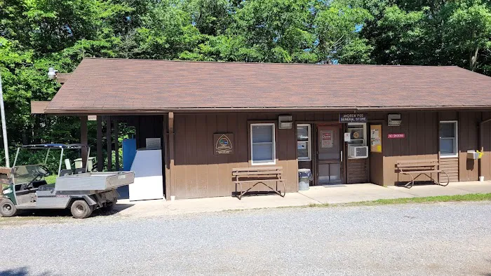 Tomlinson Run State Park Campground 6
