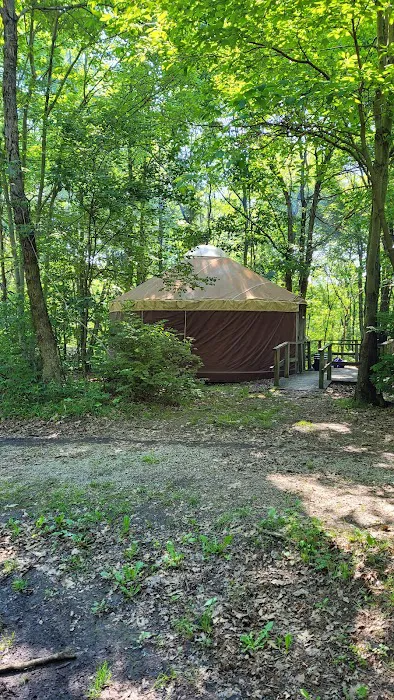 Tomlinson Run State Park Campground 1