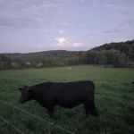 Gas Valley Campground