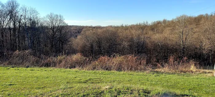 Ernies Acres Campground 1